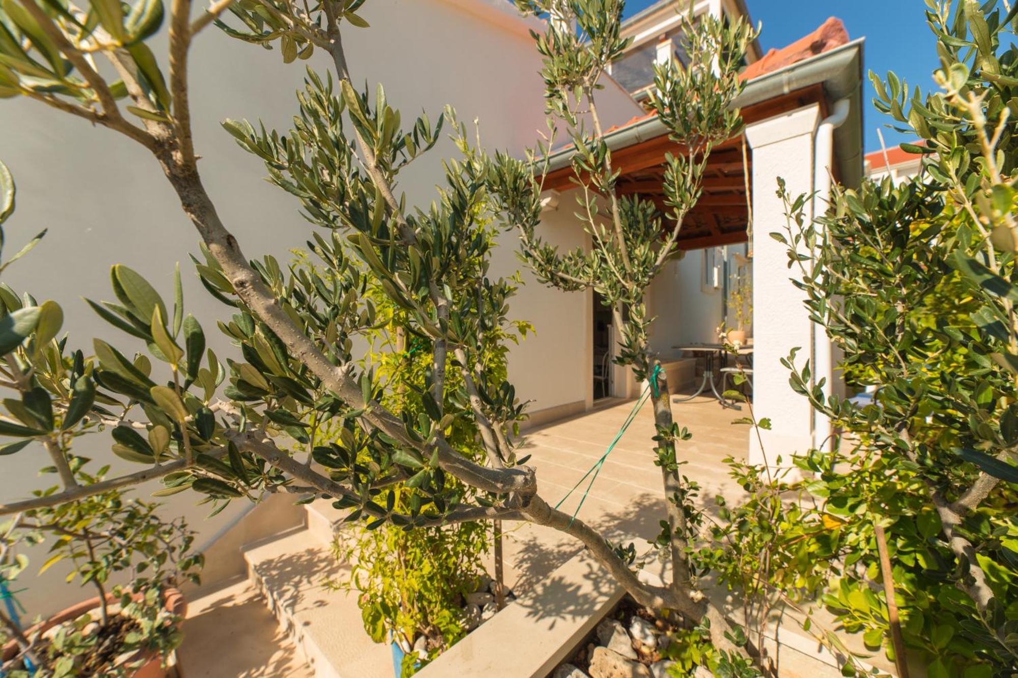 Apartments Lux بول المظهر الخارجي الصورة